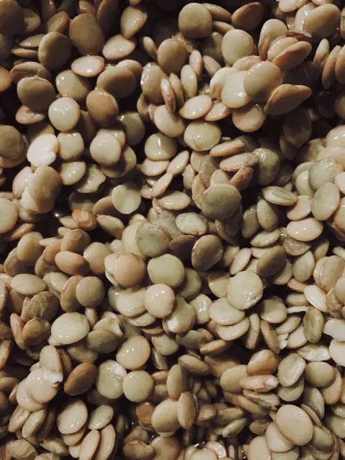 Le lenticchie di Santo Stefano di Sessanio: storia del presidio Slow Food più piccolo e prezioso d’Abruzzo