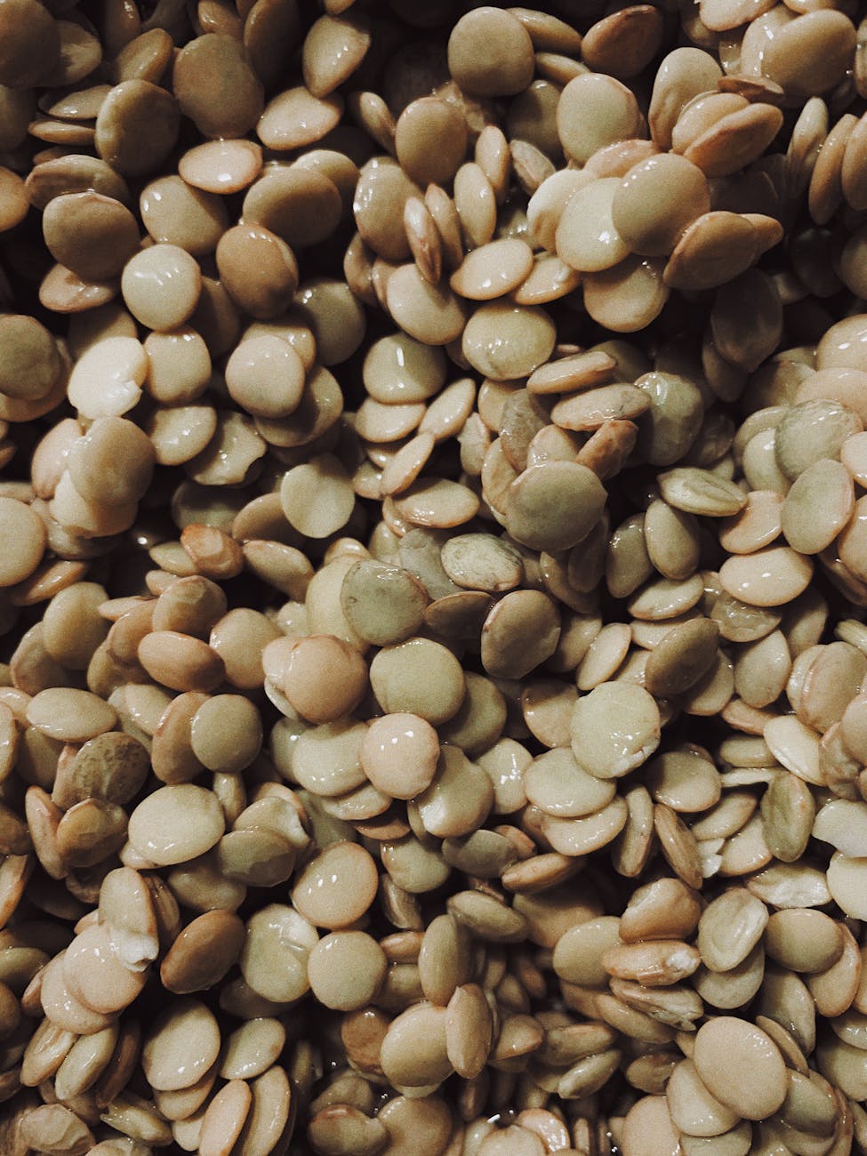 Le lenticchie di Santo Stefano di Sessanio: storia del presidio Slow Food più piccolo e prezioso d’Abruzzo