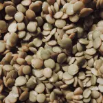 Le lenticchie di Santo Stefano di Sessanio: storia del presidio Slow Food più piccolo e prezioso d’Abruzzo