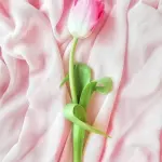 L’Aquila celebra “Marzo in Rosa”: un mese di eventi tra diritti, cultura e salute delle donne