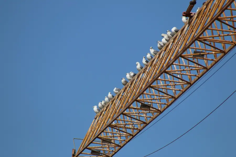 L’Aquila, modifiche alla viabilità in via XXIV Maggio il 17 e 18 febbraio per il montaggio di una gru