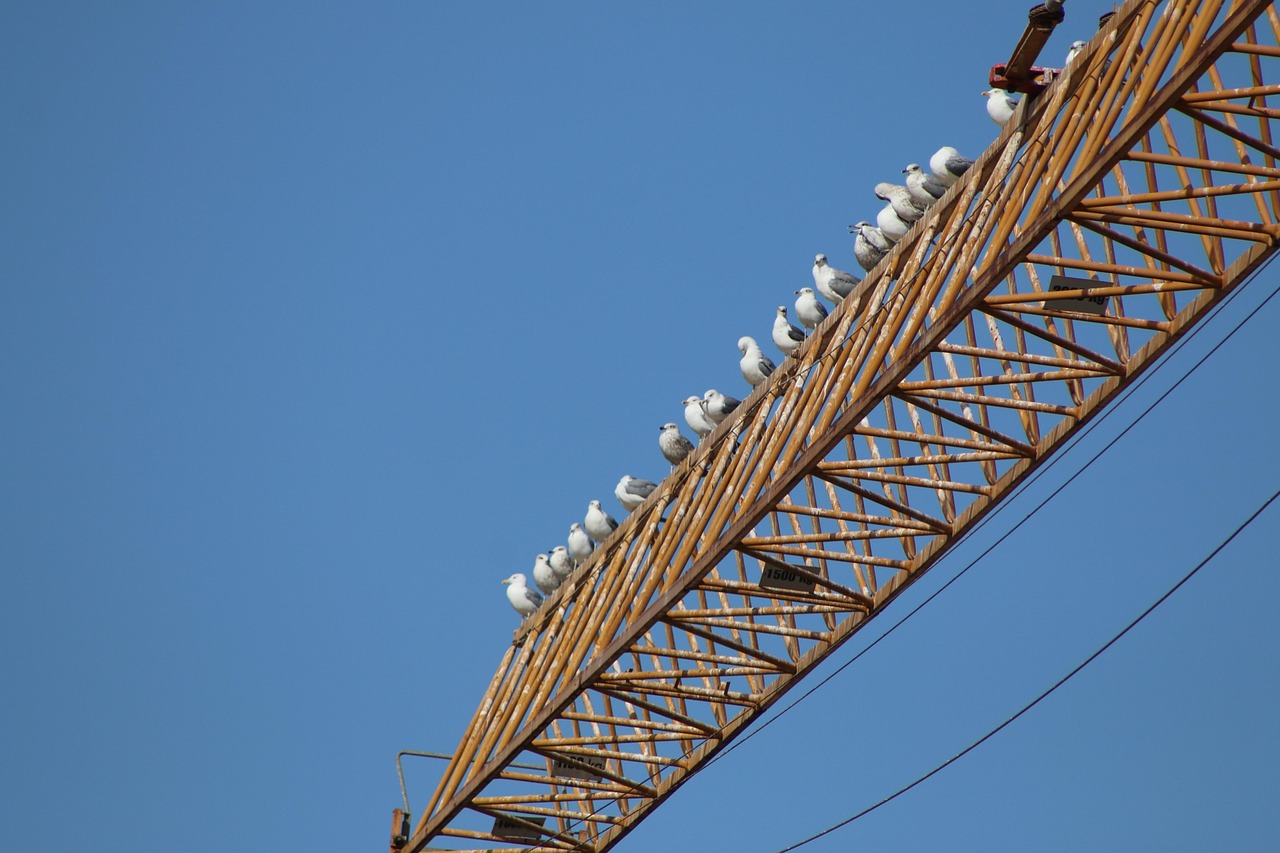 L’Aquila, modifiche alla viabilità in via XXIV Maggio il 17 e 18 febbraio per il montaggio di una gru