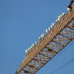 L’Aquila, modifiche alla viabilità in via XXIV Maggio il 17 e 18 febbraio per il montaggio di una gru